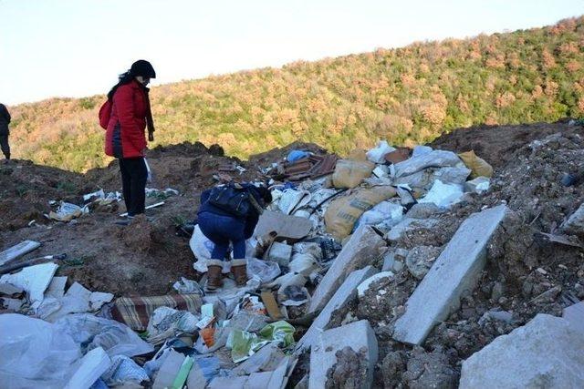 &Ccedil;&ouml;pl&uuml;kte &Ouml;l&uuml; K&ouml;pekler Bulundu 1