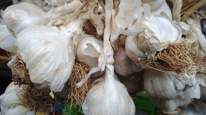 Sarımsağın Fiyatı Y&uuml;kseldi