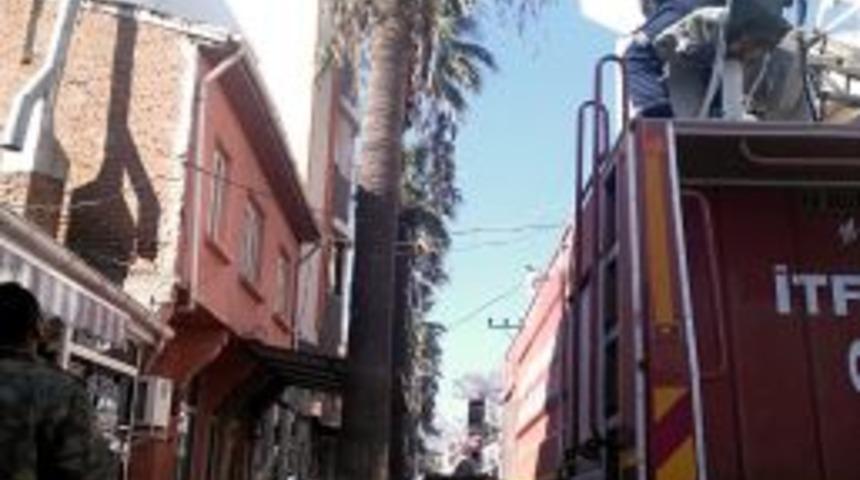 Havran&rsquo;da Ağa&ccedil;lara Kış Bakımı