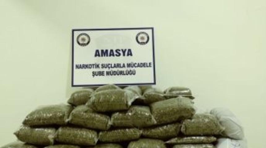 10,9 Milyon Tl Değerinde Bonzai Ele Ge&ccedil;ti