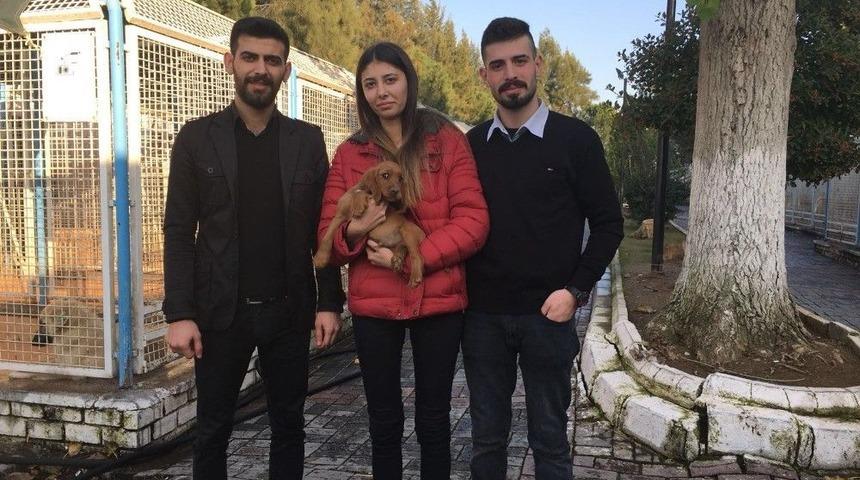 Doğum G&uuml;n&uuml; Hediyesi Sokak Hayvanı Oldu