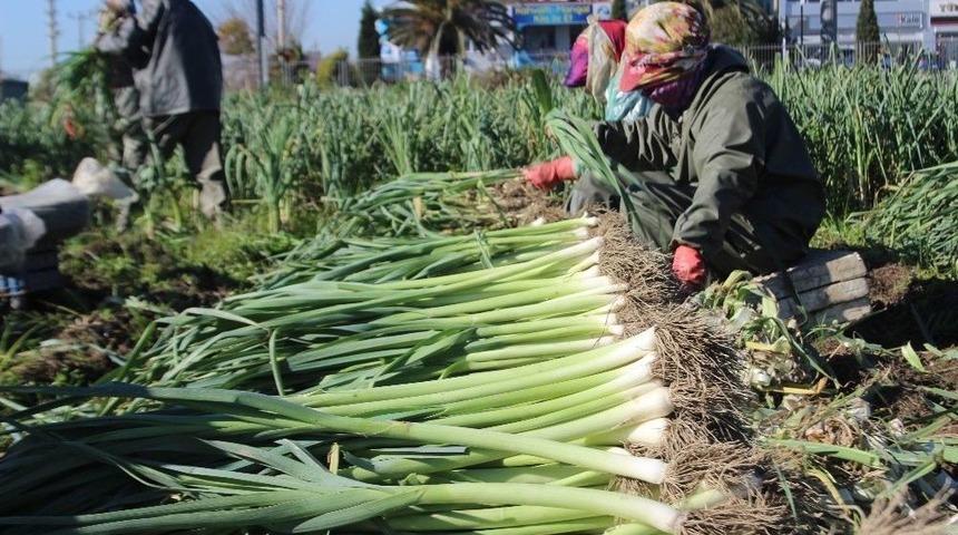 Tzob Kadın &Ccedil;ift&ccedil;ilere Yıpranma Payı İstedi