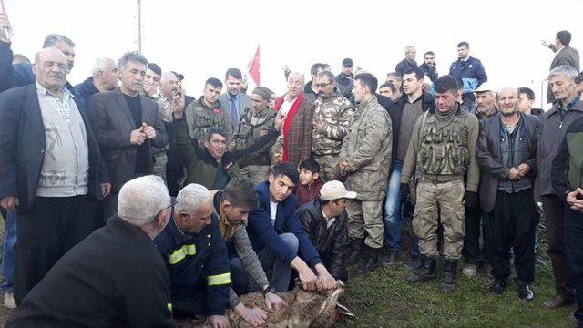 Hasanbeyli’den Zeytin Dalı Harekatı’na Destek