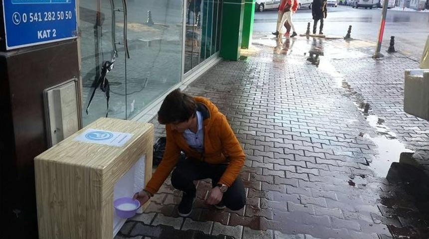 &Uuml;lk&uuml; Ocakları Sokak Hayvanları İ&ccedil;in Yuva Projesi Başlattı