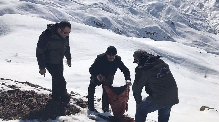 Yaban Hayvanları İ&ccedil;in Doğaya Yem Bırakıldı