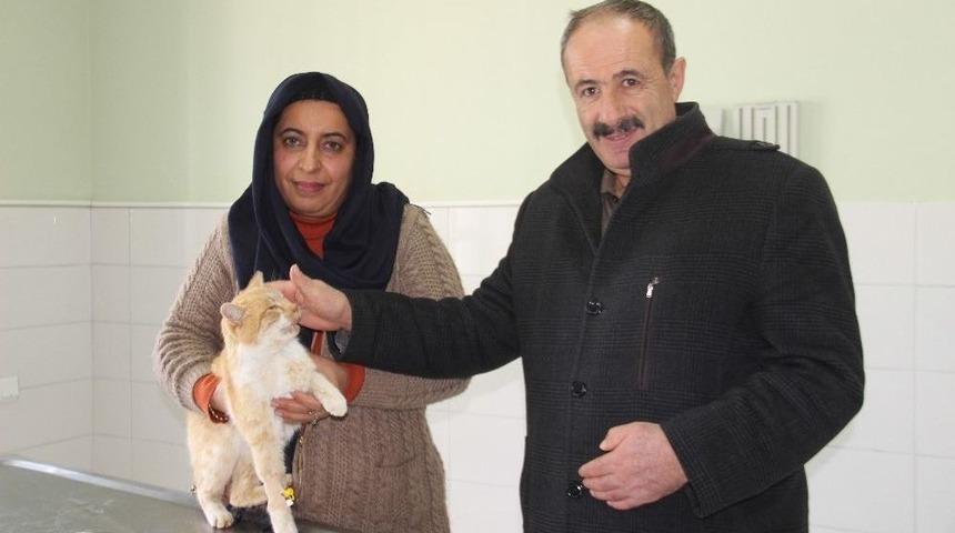 Duyarlı &Ccedil;ift, Donmak &Uuml;zere Olan Kediye Sahip &Ccedil;ıktı