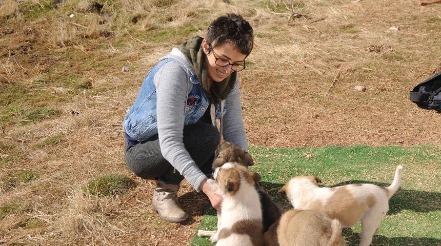 Şırnak&rsquo;ta G&ouml;rev Yapan Doktor Kendi İmkanlarıyla Sokak Hayvanlarına Bakıyor