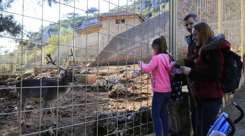 Hayvanat Bah&ccedil;esi Ziyaret&ccedil;i Akınına Uğradı