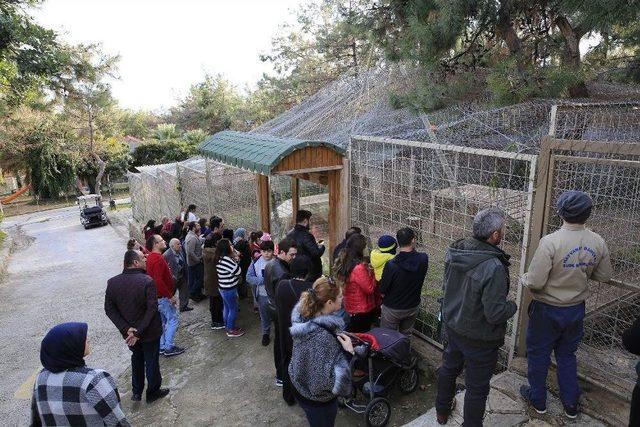 Hayvanat Bahçesi Ziyaretçi Akınına Uğradı