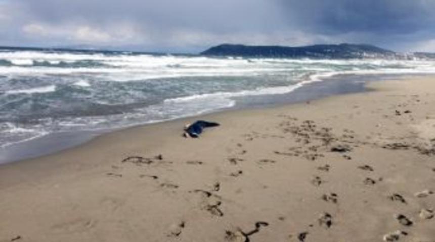 Kıyıya Kimliksiz Kadın Cesedi Vurdu