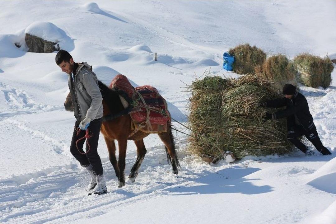 &Ccedil;ift&ccedil;ilerin Kış &Ccedil;ilesi
