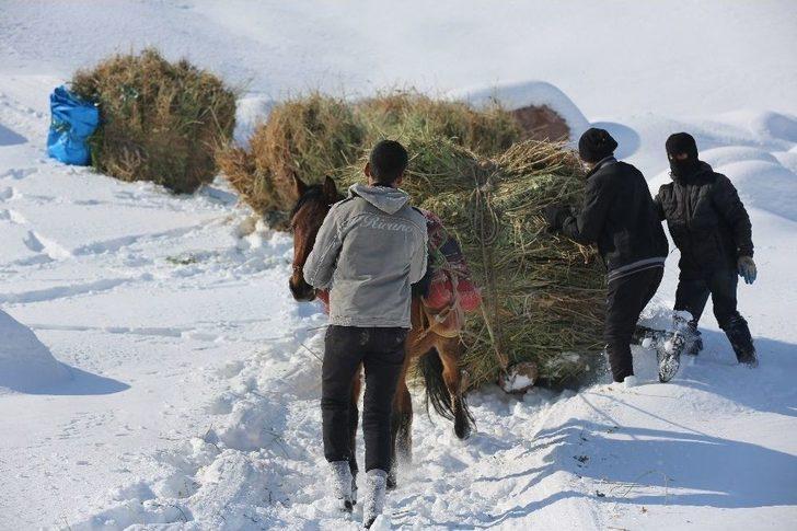 Çiftçilerin Kış Çilesi G1