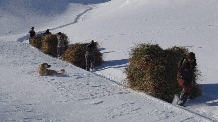 Çiftçilerin Kış Çilesi G3