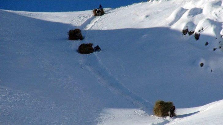 Çiftçilerin Kış Çilesi G4