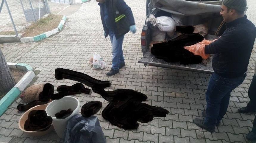 Kaçak Avcılara 14 Bin Lira Para Cezası Kesildi