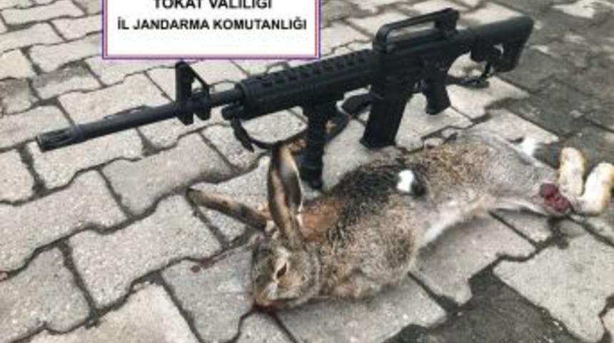 Yaban Tavşanı Vurdu, 2 Bin 312 Lira Ceza Ödedi
