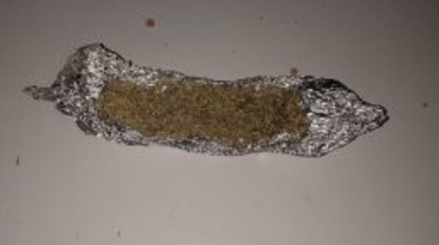 Durdurulan Otomobilden Bonzai Ele Ge&ccedil;irildi