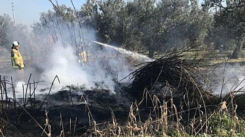 Burhaniye&rsquo;de Ot Yangını