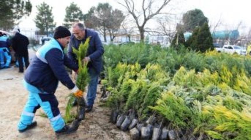 Nil&uuml;fer&rsquo;in Geleceği İ&ccedil;in Binlerce Fidan Dikecekler