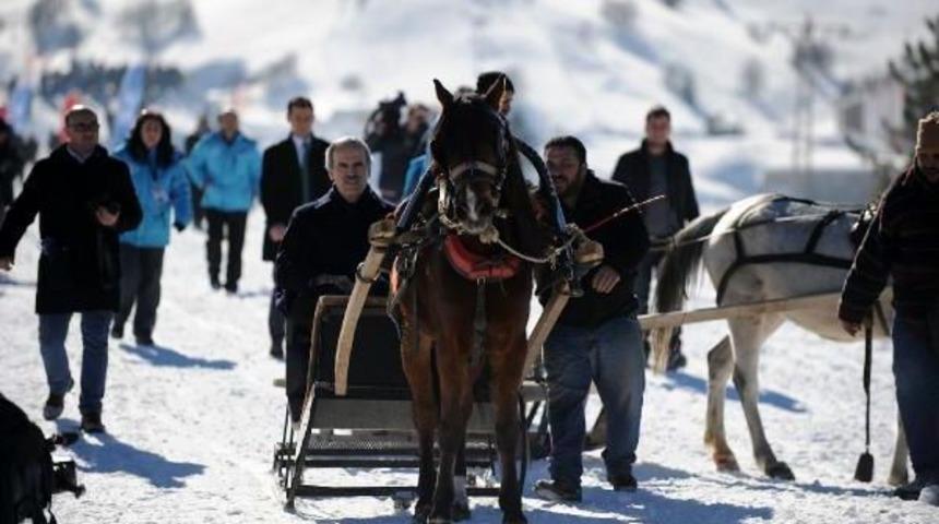 Uludağ'da Atlı Kızak Yarışmasında, Atlar Kara Saplandı