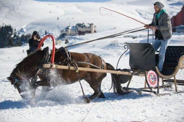 Uludağ da Atlı Kızak Yarışmasında, Atlar Kara Saplandı 2