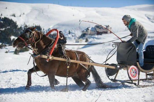 Uludağ da Atlı Kızak Yarışmasında, Atlar Kara Saplandı 3