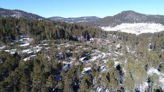 Kuvvetli Rüzgar Yüzlerce Ağacı Kökünden Söktü