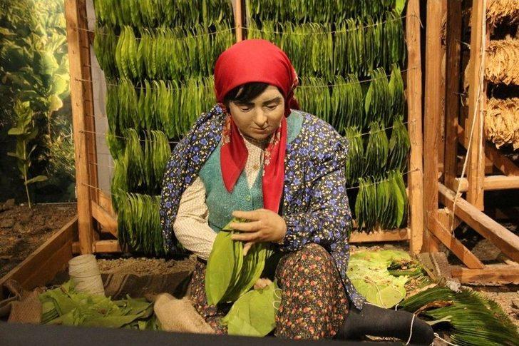 Avrupa Ödüllü Müzeyi 5 Yılda 700 Bin Kişi Gezdi G4