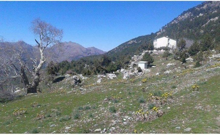 Paşa Yaylası Her Mevsim İlgi Görüyor G2