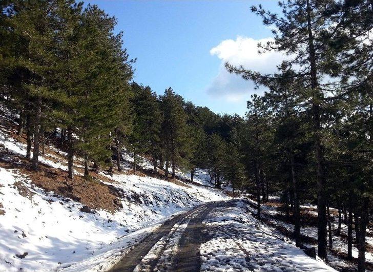 Paşa Yaylası Her Mevsim İlgi Görüyor G3