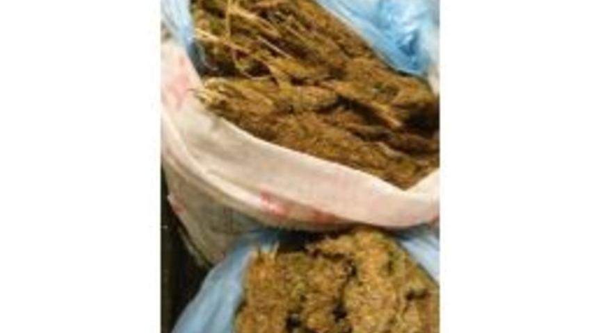 Uyuşturucu Satıcıları Sokak Ortasında &Ccedil;atıştı