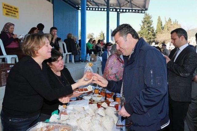 Bodrum’da “mandalina Şenliği” Başladı