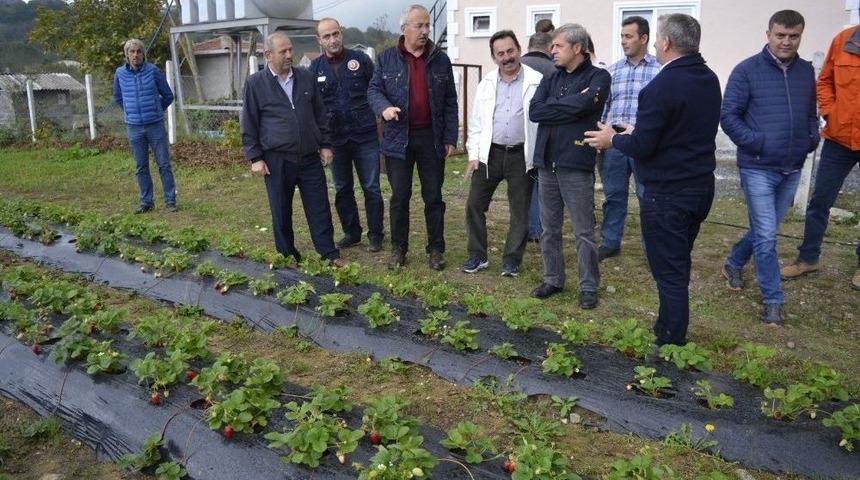 Vali &Ccedil;ınar, &Ccedil;ilek Bah&ccedil;esini Gezdi