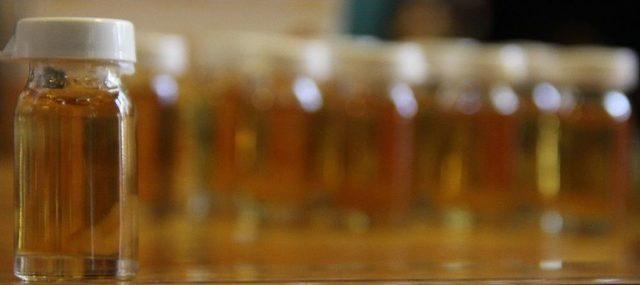 Bu S&uuml;t&uuml;n Fiyatı Cumhuriyet Altınının Tam 3 Katı 1