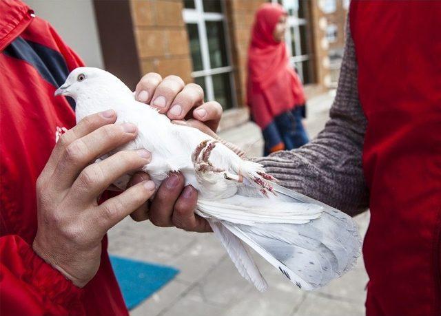 Ahlatlı Gençlerden Mehmetçiklere Güvercinle Mektup