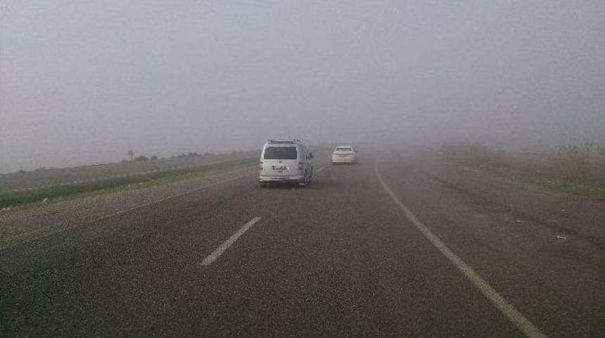 Silopi&rsquo;de Yoğun Sis S&uuml;r&uuml;c&uuml;lere Zor Anlar Yaşattı