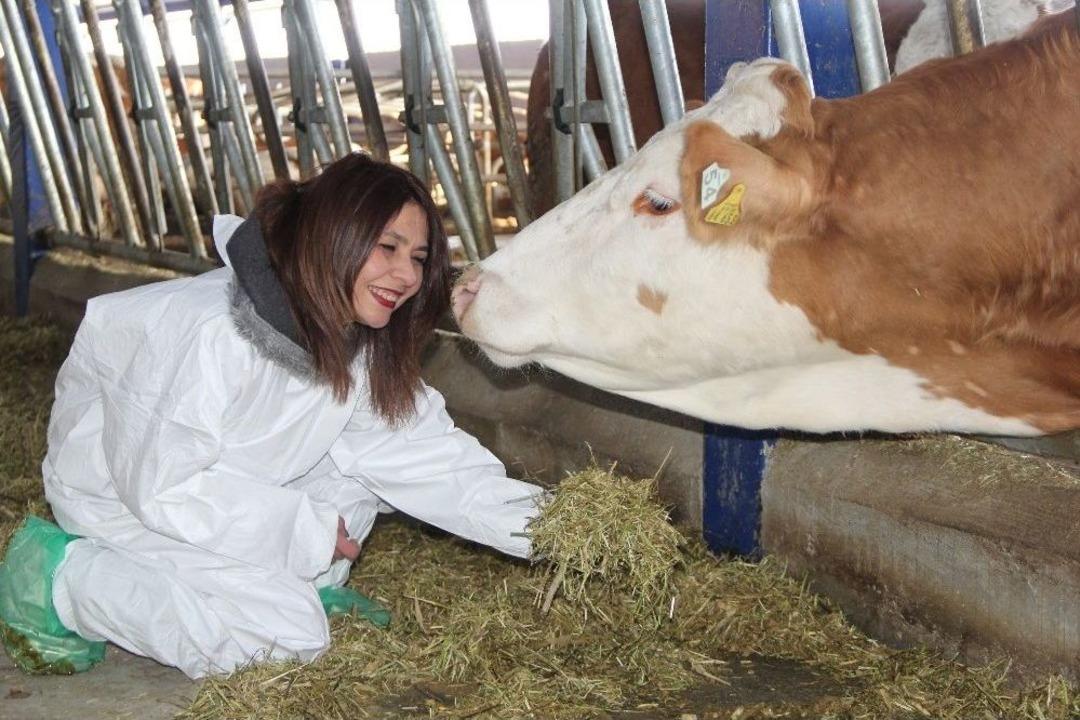 M&uuml;hendisliği Bıraktı, S&uuml;t &Ccedil;iftliği Kurdu
