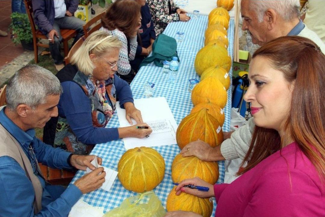 Yeşilyurt&rsquo;un Y&ouml;resel &Uuml;r&uuml;nleri Şenlikte Tanıtıldı
