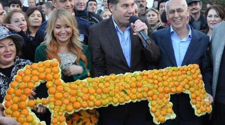 Bodrum'da Mandalina Şenliği Coşkusu