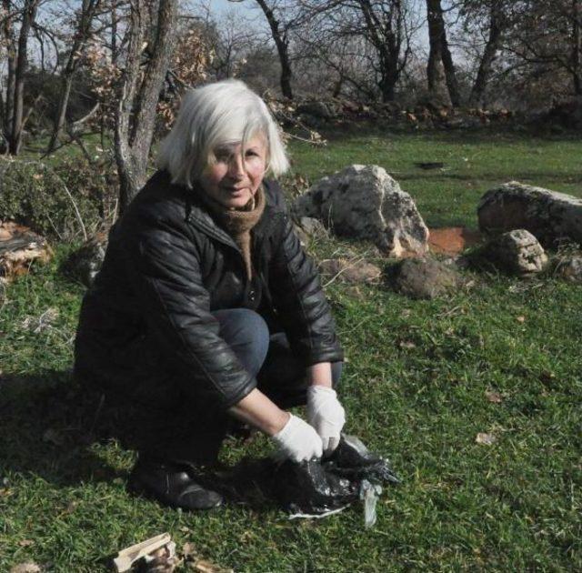 Tarım Ilaçlı Balıkla 5 Köpeği Zehirlediler 1