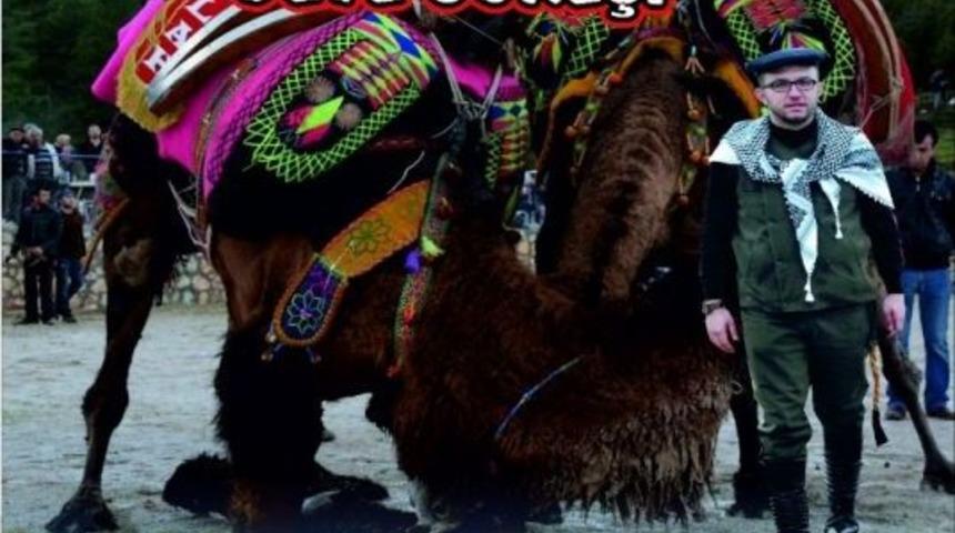 28. Geleneksel Umurbey Deve G&uuml;reşi Festivali 11 Şubat&rsquo;ta