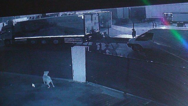 (&ouml;zel Haber) Et Hırsızları Bu Sefer Eli Boş D&ouml;nd&uuml; 1