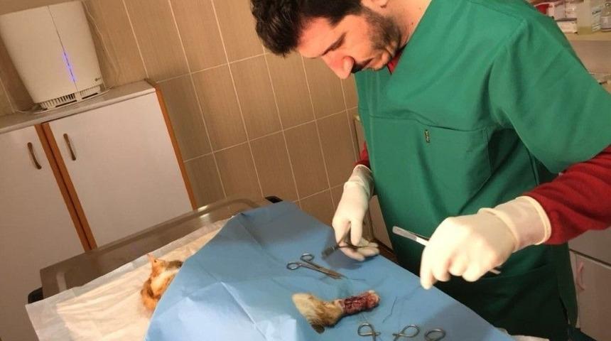 Arabanın Motor Kısmına Sıkışan Kedi Kurtarıldı