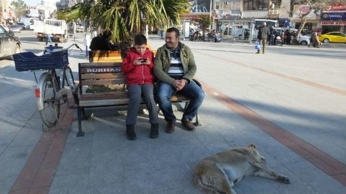 Bahar Havası Burhaniyelilerin Y&uuml;z&uuml;n&uuml; G&uuml;ld&uuml;rd&uuml;