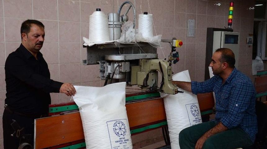 Muş Şeker Fabrikasında &Uuml;retim Başladı