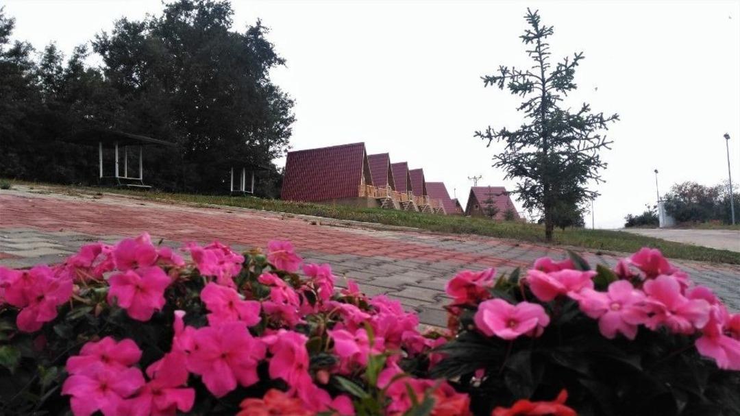 Bursa&rsquo;da Sonbahar G&uuml;zelliği