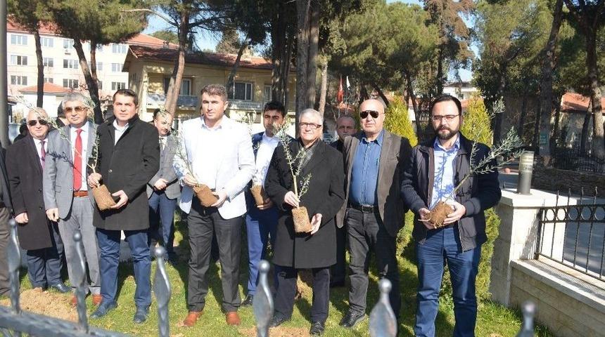 Zeytin Dalı Harekatına Zeytin Fidanı Dikerek Destek Oldular