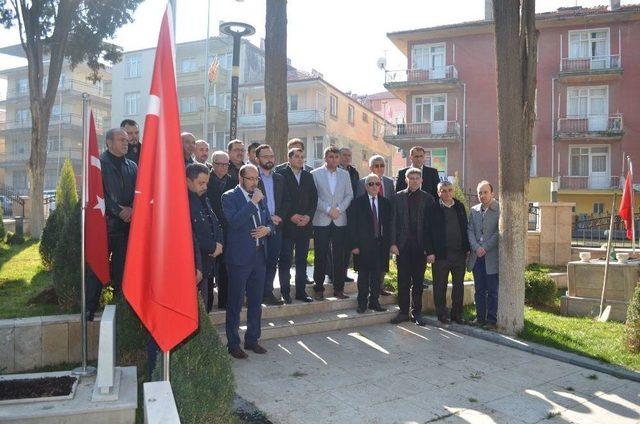 Zeytin Dalı Harekatına Zeytin Fidanı Dikerek Destek Oldular