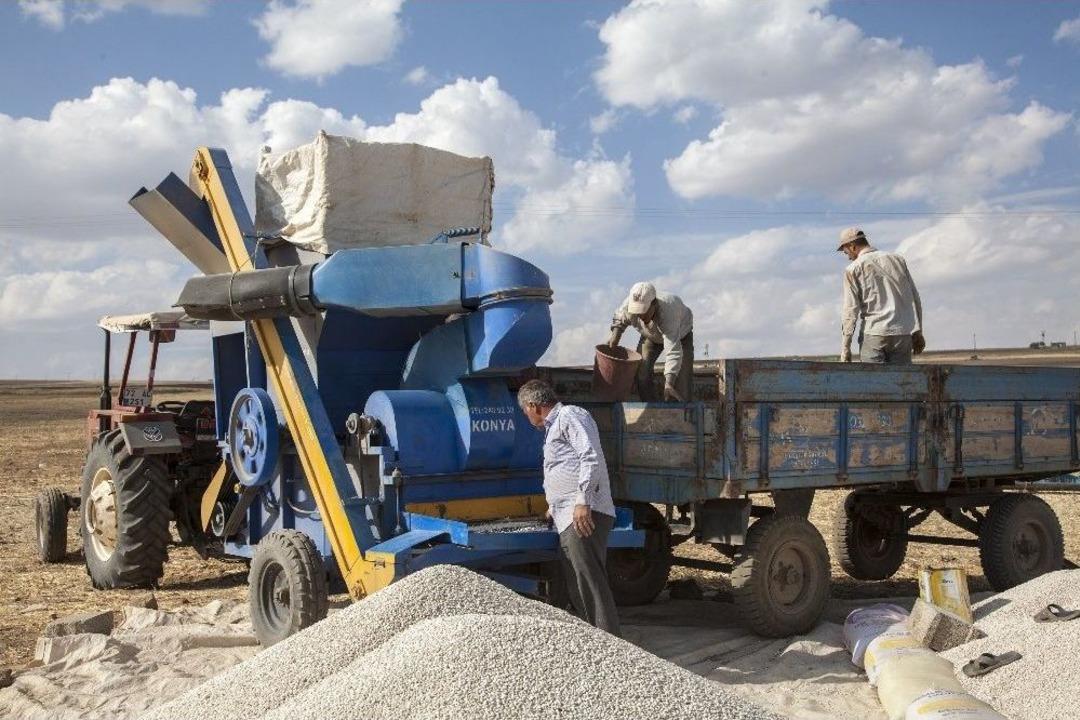 Anadolu&rsquo;da Kuru Fasulye Bereketi