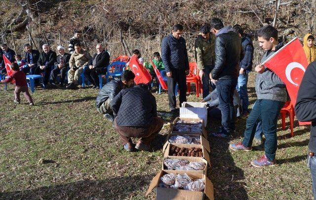 (özel Haber) Sason’dan Afrin’e Bal Ve Cevizli Sucuk Gönderildi